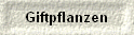 Giftpflanzen